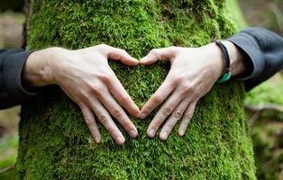 Our Favourite Ways to Save the Planet