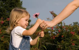 favourites-mainimage-manners